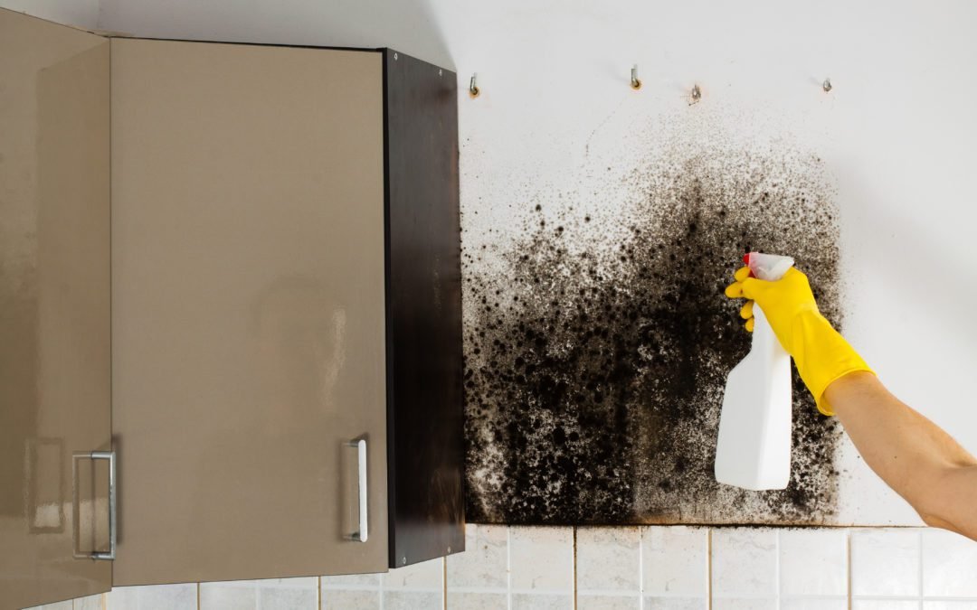 Is Mold Making Me Sick?