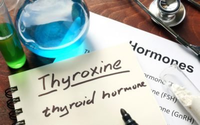 Herbal Remedies for Thyroid Imbalances