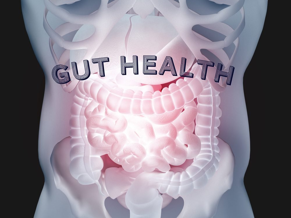 The Connection Between Gut Health and Thyroid Function Introduction