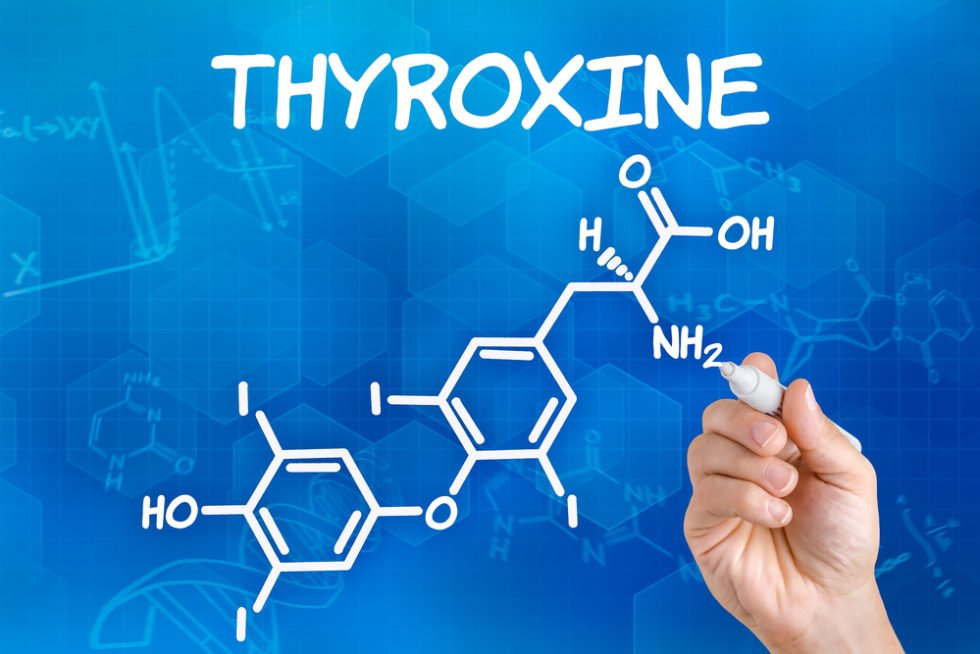 thyroid-hormone-replacement-risks